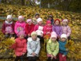 /album/fotogalereya/a26102015552-kopiya-jpg/